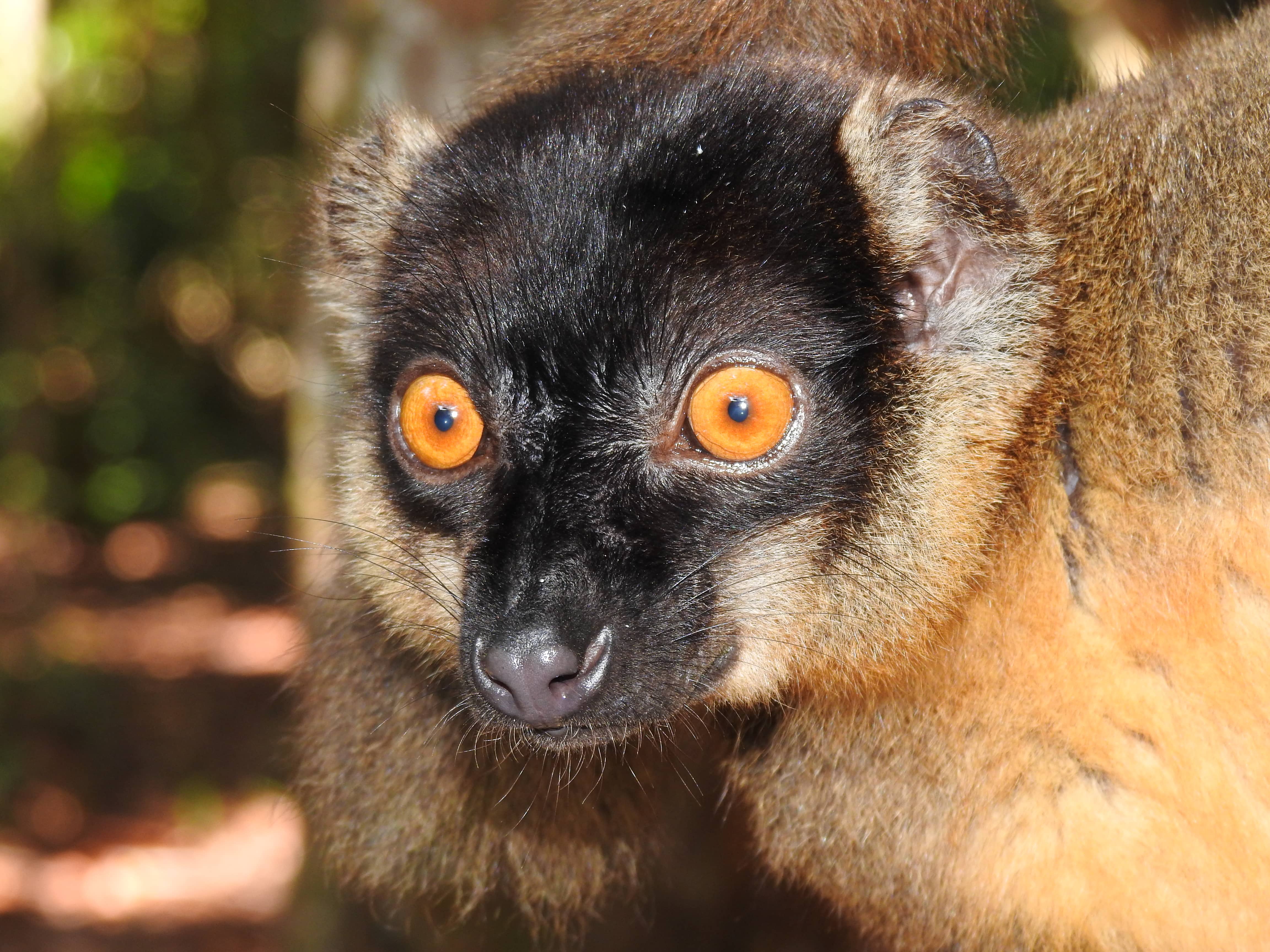 A Sweet Break in Northern Madagascar - 3