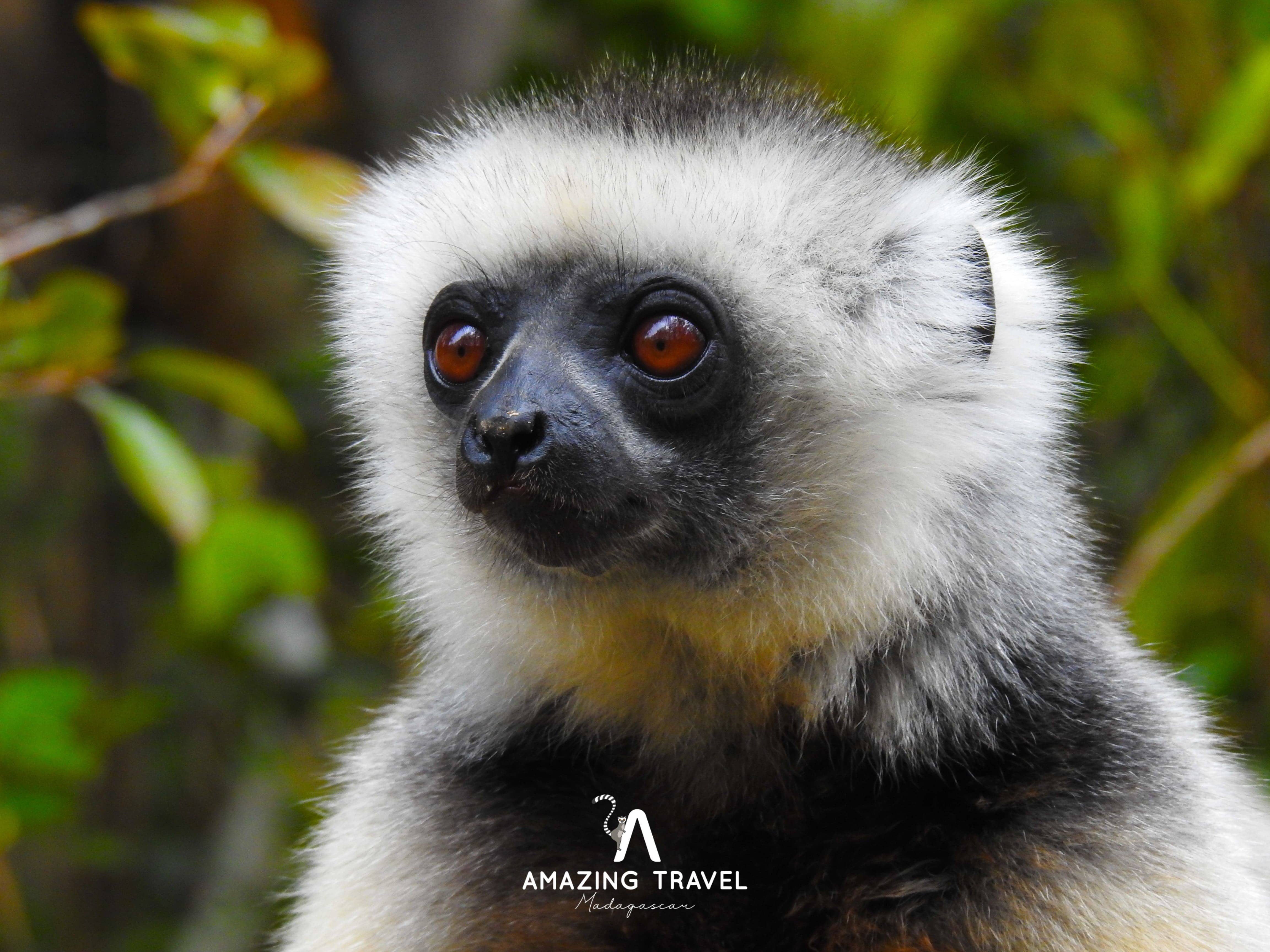 Escape to Eastern Madagascar - 2